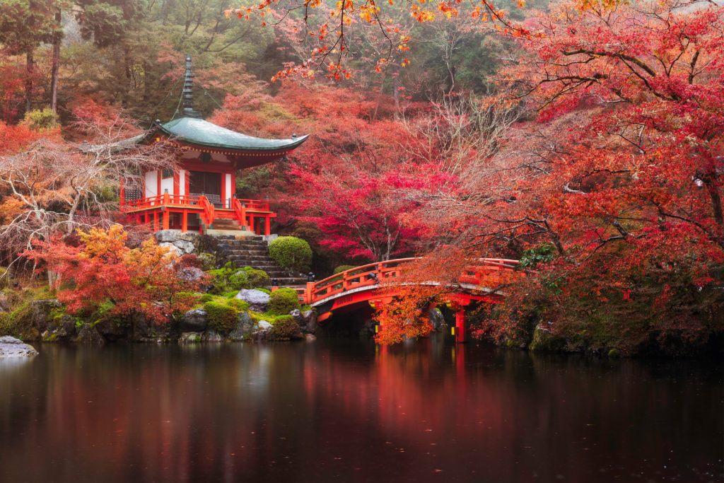 Der Daigo-ji Temple im Herbst (Japanische Gartengestaltung)